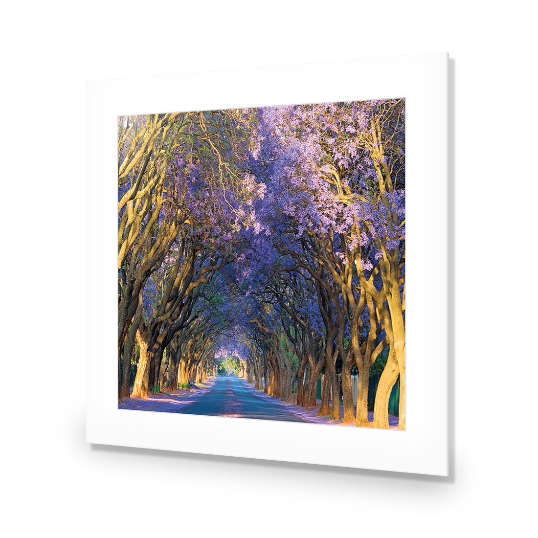 Jacaranda Alley (square) - Wall Art Designs - 1747_AS_Q WAD_AP - 030 - MAT_37x37_NONE