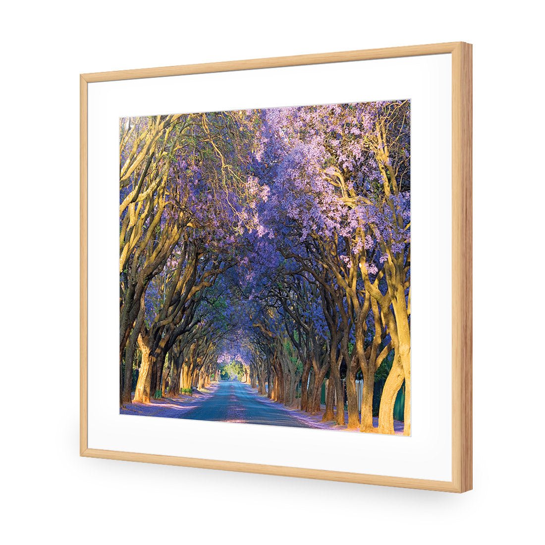 Jacaranda Alley (square) - Wall Art Designs - 1747_AS_Q WAD_AP - 030 - MAT_37x37_S - 2538 - OAK