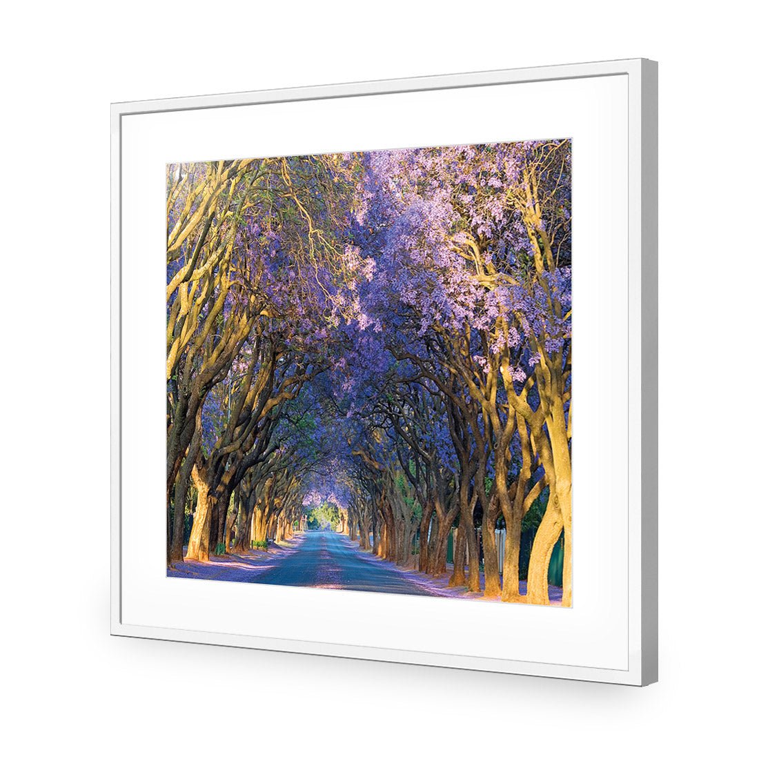 Jacaranda Alley (square) - Wall Art Designs - 1747_AS_Q WAD_AP - 030 - MAT_37x37_S - 2538 - WHT