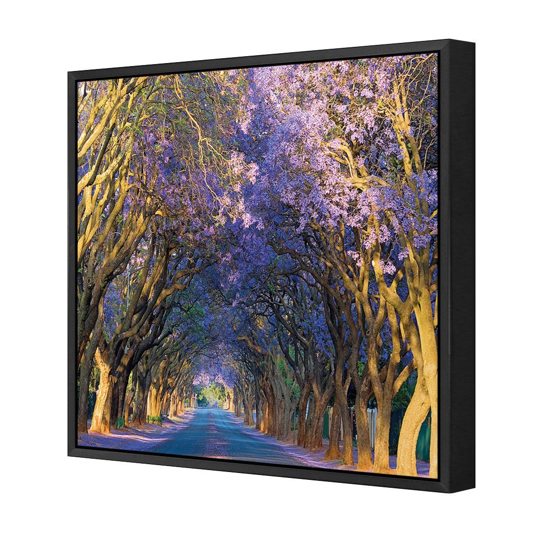 Jacaranda Alley (square) - Wall Art Designs - 1747_AS_Q WAD_CP - MPY - 260 - M - S - S_37x37_S - 1550 - BLK