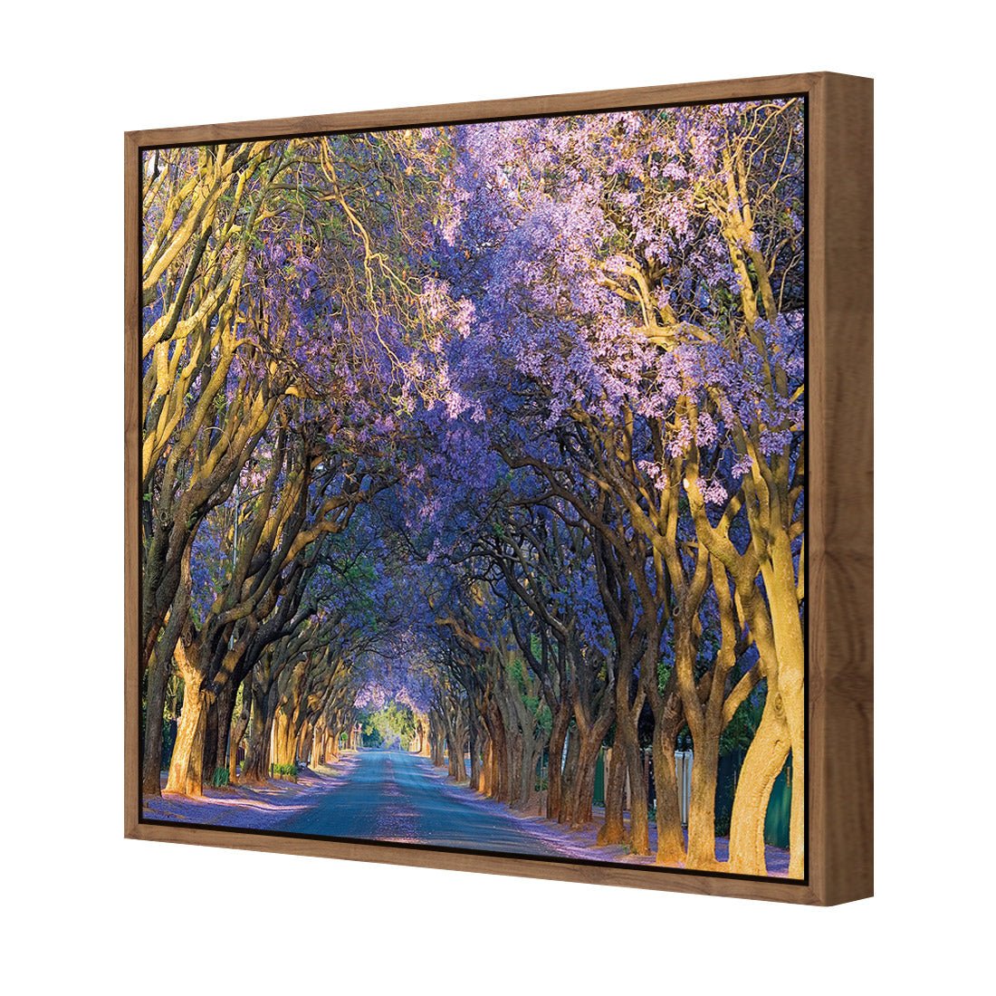 Jacaranda Alley (square) - Wall Art Designs - 1747_AS_Q WAD_CP - MPY - 260 - M - S - S_37x37_S - 1550 - NAT