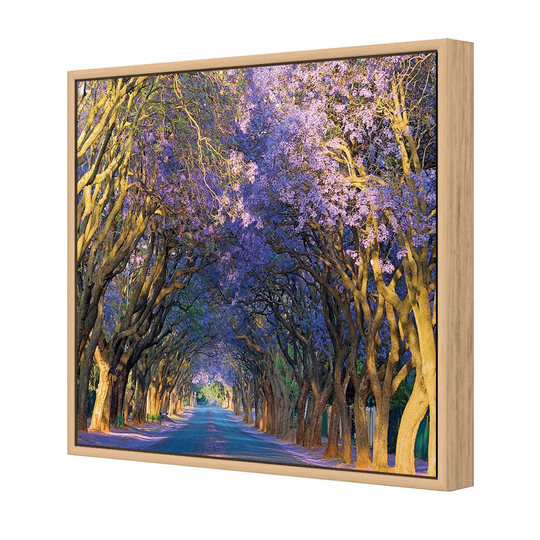 Jacaranda Alley (square) - Wall Art Designs - 1747_AS_Q WAD_CP - MPY - 260 - M - S - S_37x37_S - 1550 - OAK