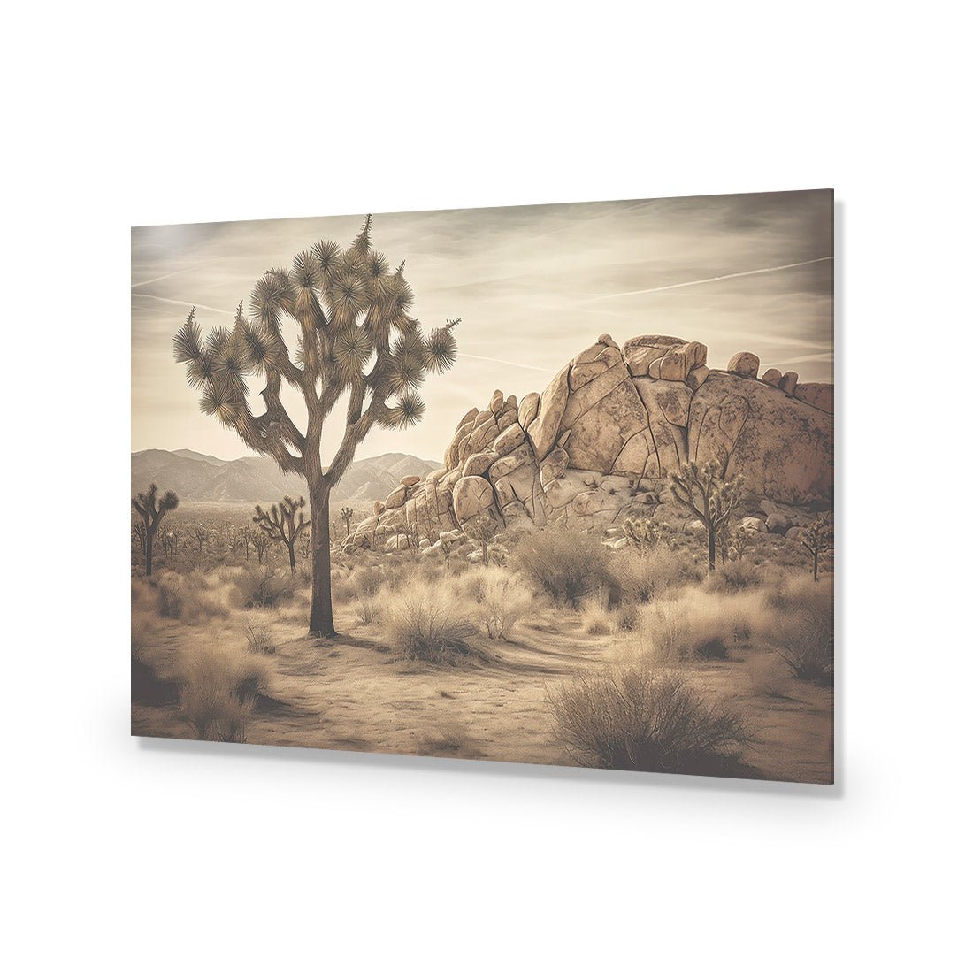 Joshua Tree - Wall Art Designs - WH_1172_AR_H CAF_AP - 030 - EDG_45x30_NONE