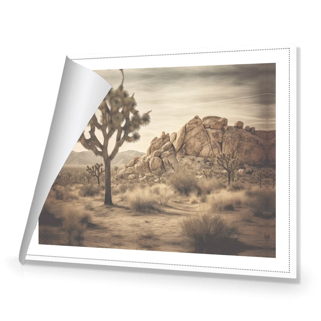 Joshua Tree - Wall Art Designs - WH_1172_AR_H CAF_CP - MPY - 260 - M - R_45x30_NONE