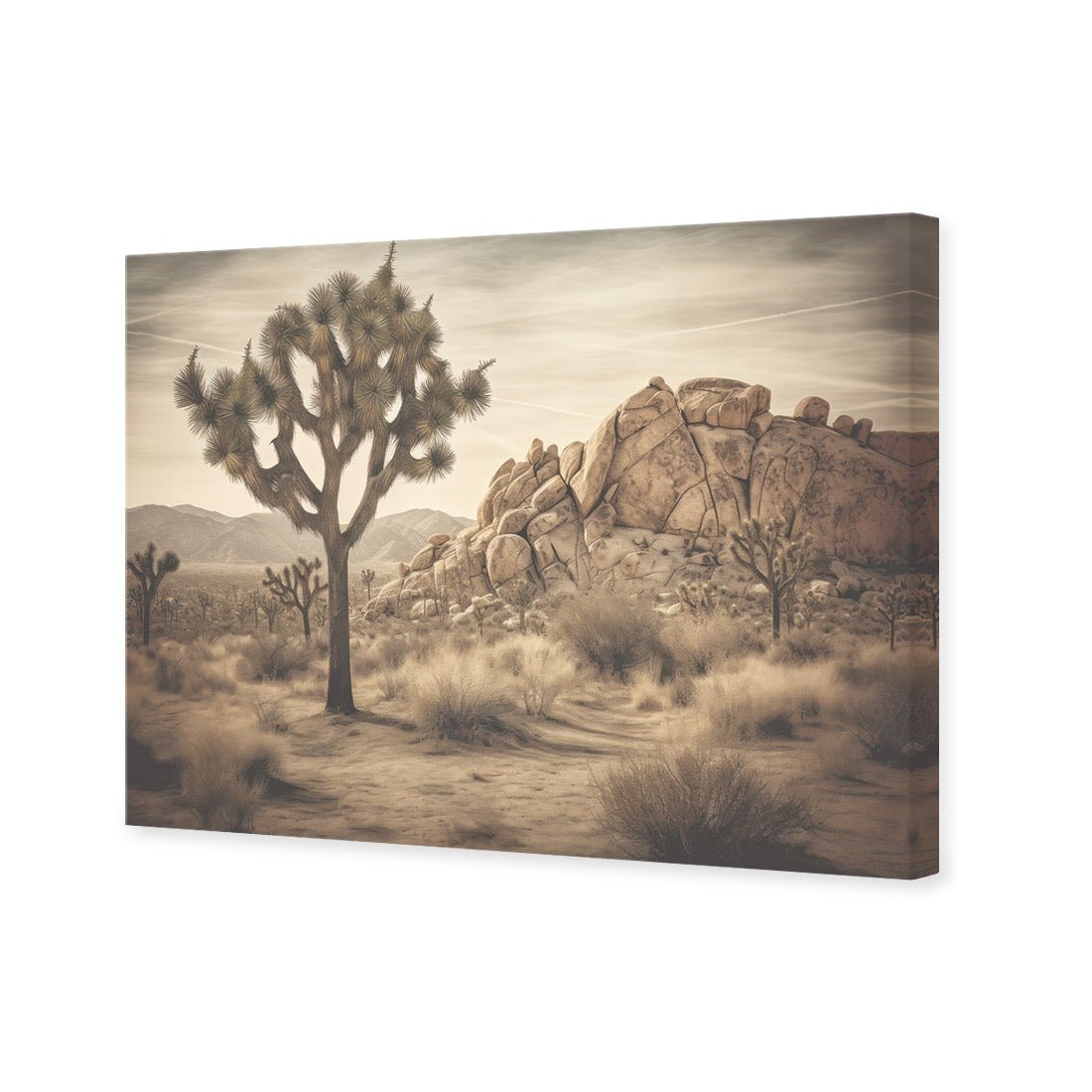 Joshua Tree - Wall Art Designs - WH_1172_AR_H CAF_CP - MPY - 260 - M - S - S_45x30_NONE