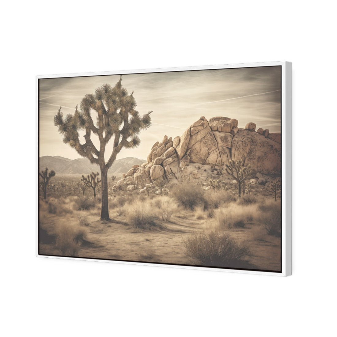 Joshua Tree - Wall Art Designs - WH_1172_AR_H CAF_CP - MPY - 260 - M - S - S_45x30_S - 1550 - WHT