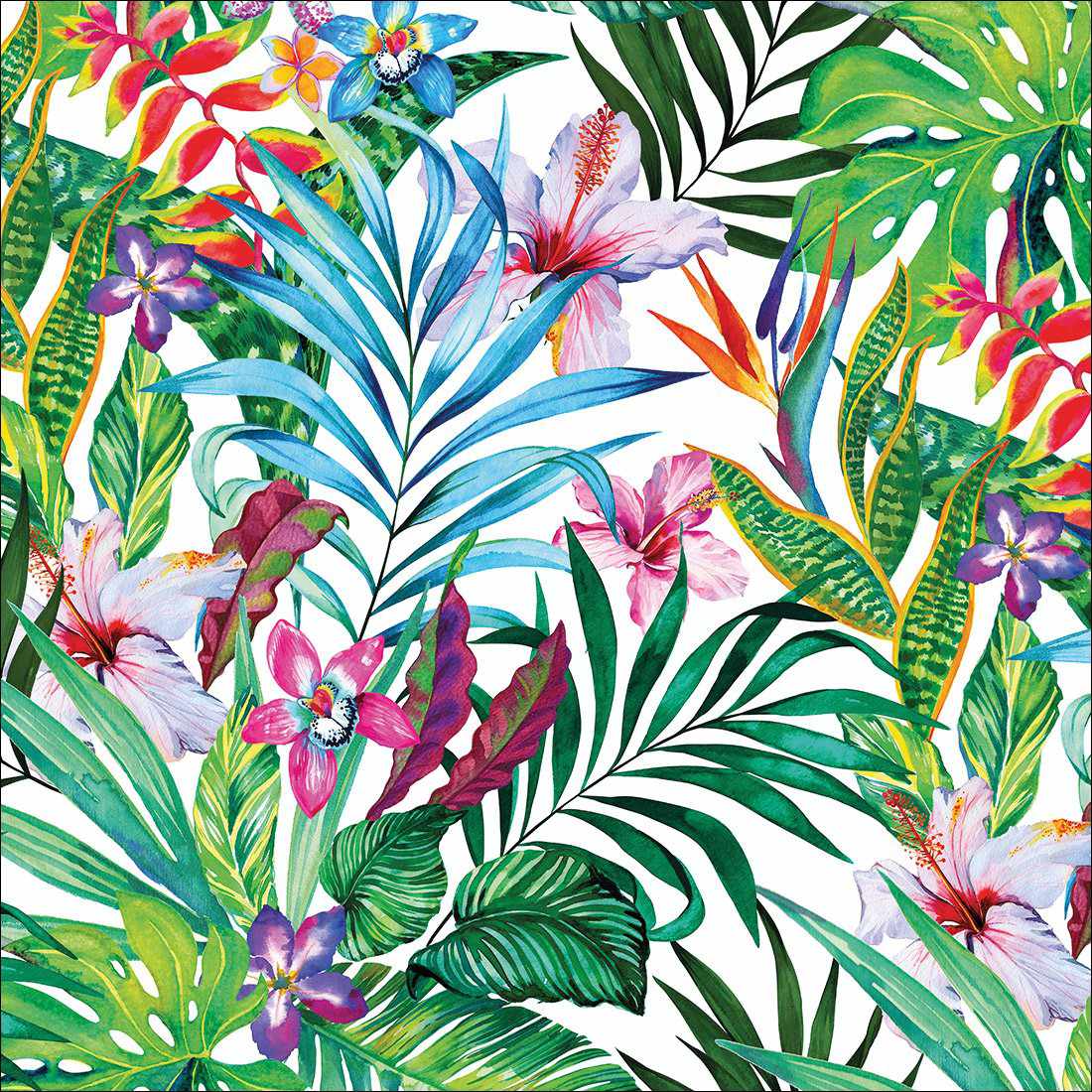 Jungle At Noon, Square