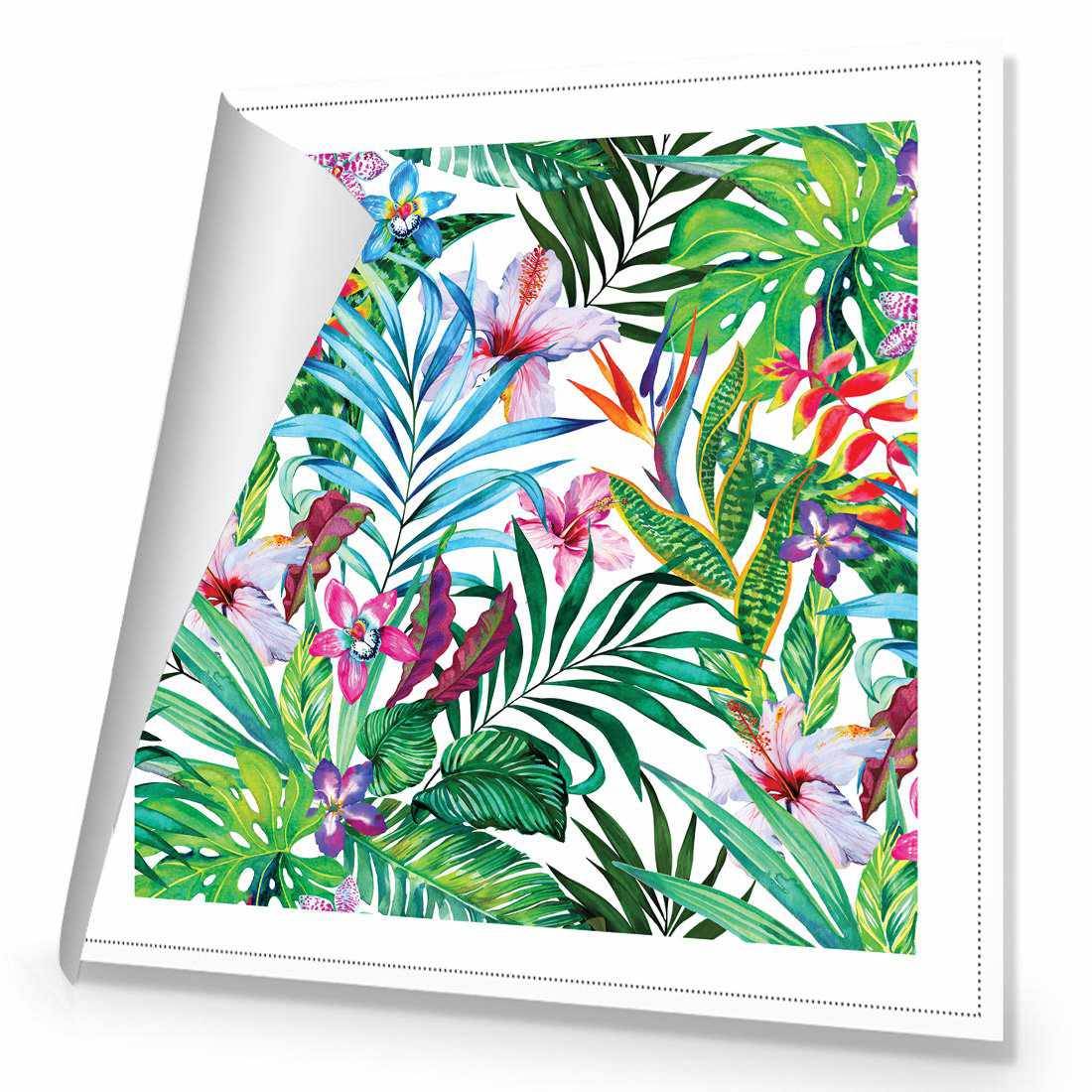 Jungle At Noon, Square | Standard Canvas | No Frame | Rolled Canvas