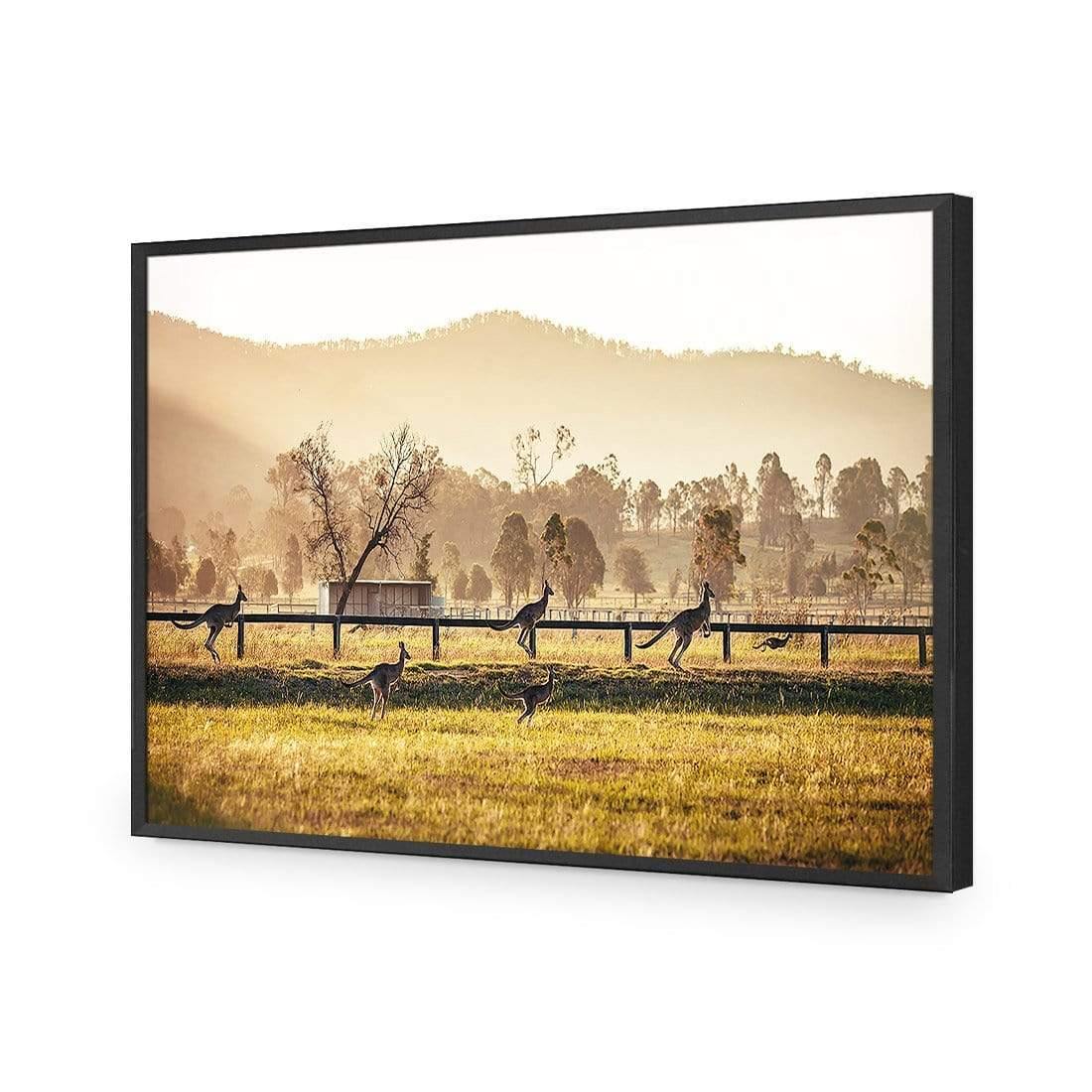 Kangaroo Run - Wall Art Designs - 3105_AR_H WAD_AP - 030 - EDG_45x30_S - 2538 - BLK