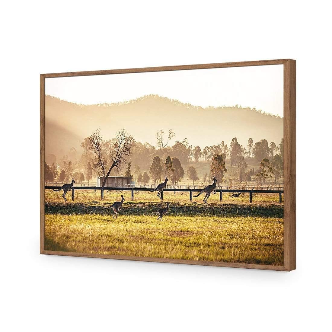 Kangaroo Run - Wall Art Designs - 3105_AR_H WAD_AP - 030 - EDG_45x30_S - 2538 - NAT