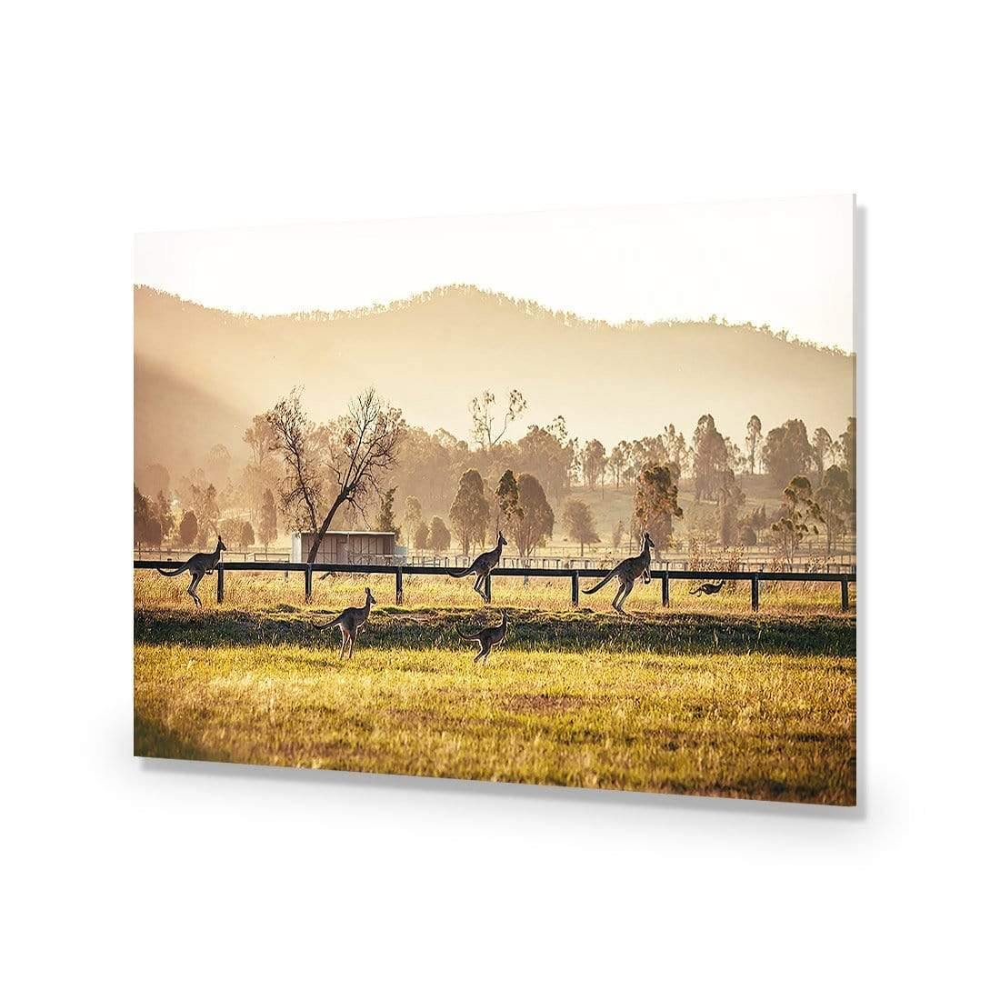 Kangaroo Run - Wall Art Designs - 3105_AR_H WAD_AP - 030 - EDG_45x30_NONE