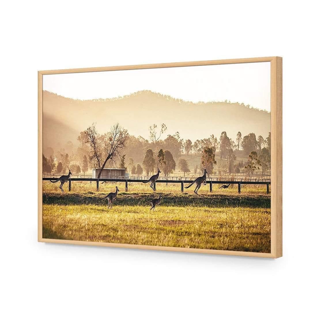 Kangaroo Run - Wall Art Designs - 3105_AR_H WAD_AP - 030 - EDG_45x30_S - 2538 - OAK