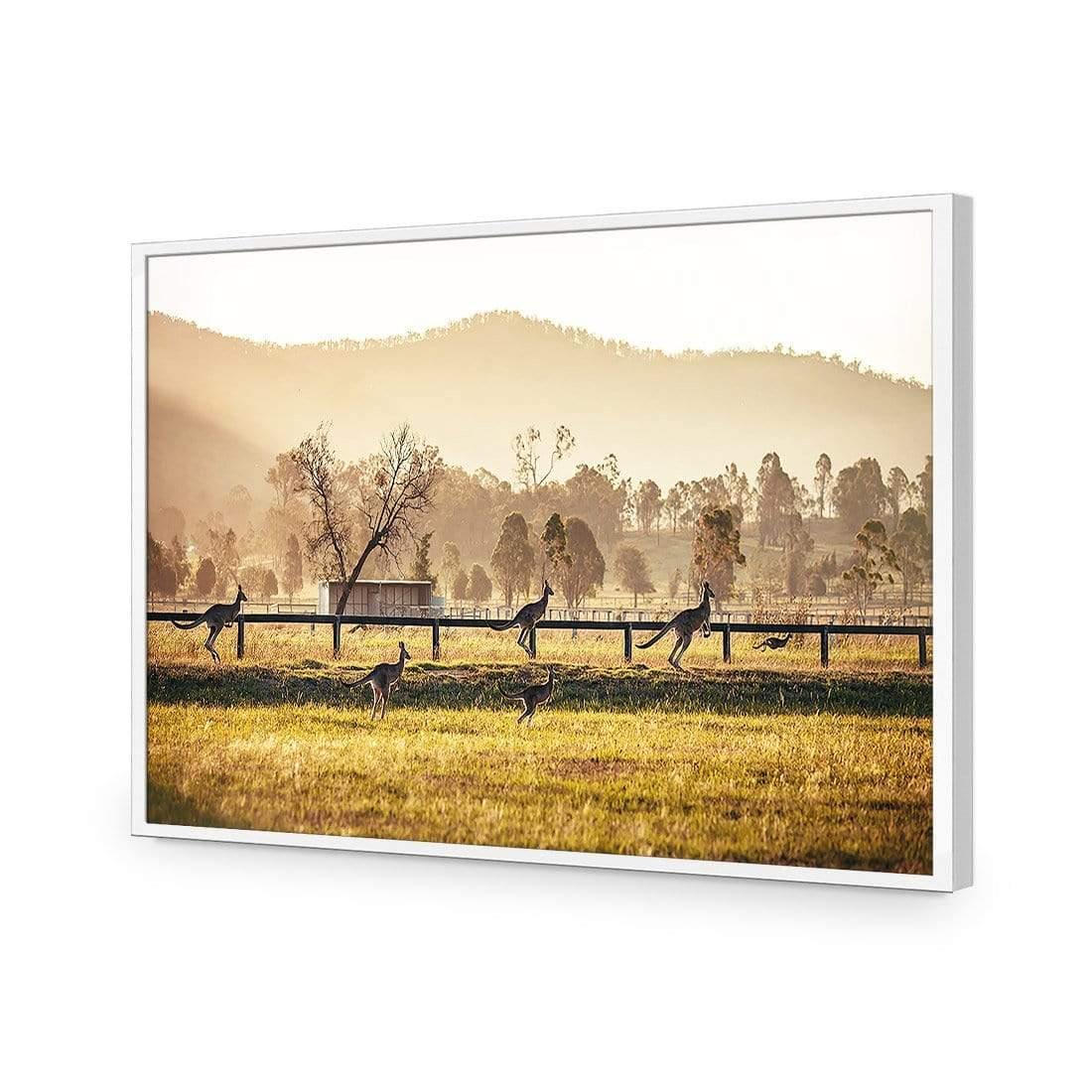 Kangaroo Run - Wall Art Designs - 3105_AR_H WAD_AP - 030 - EDG_45x30_S - 2538 - WHT