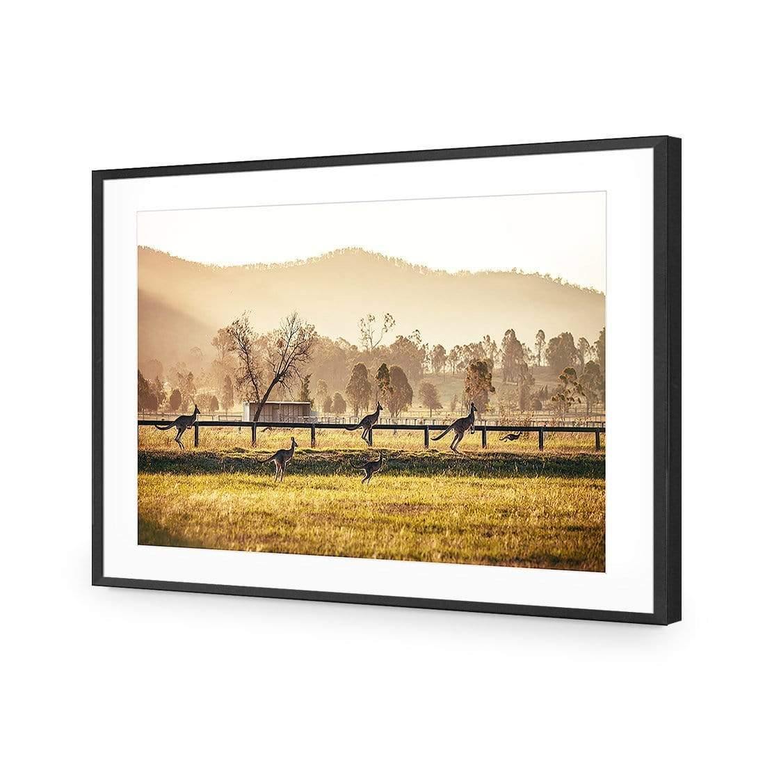 Kangaroo Run - Wall Art Designs - 3105_AR_H WAD_AP - 030 - MAT_45x30_S - 2538 - BLK