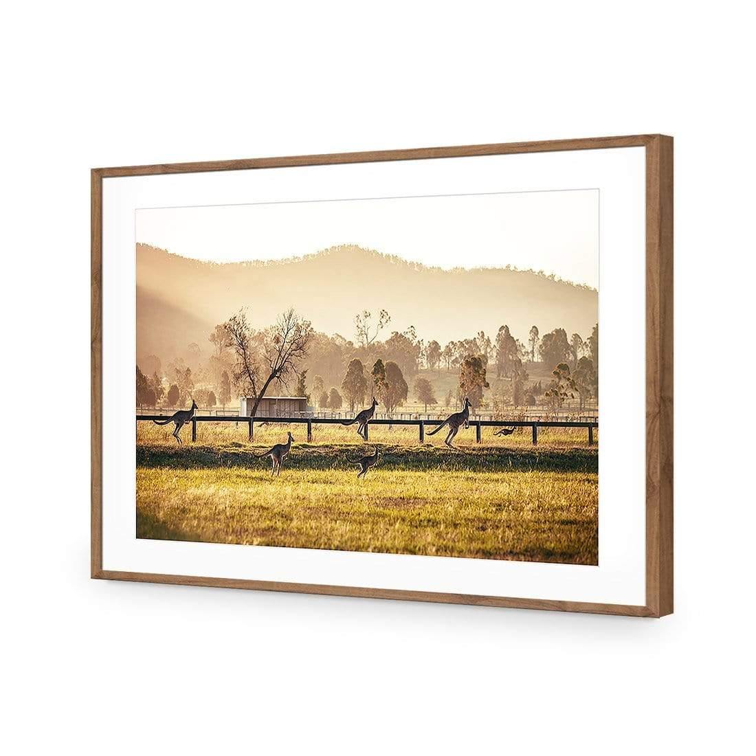 Kangaroo Run - Wall Art Designs - 3105_AR_H WAD_AP - 030 - MAT_45x30_S - 2538 - NAT