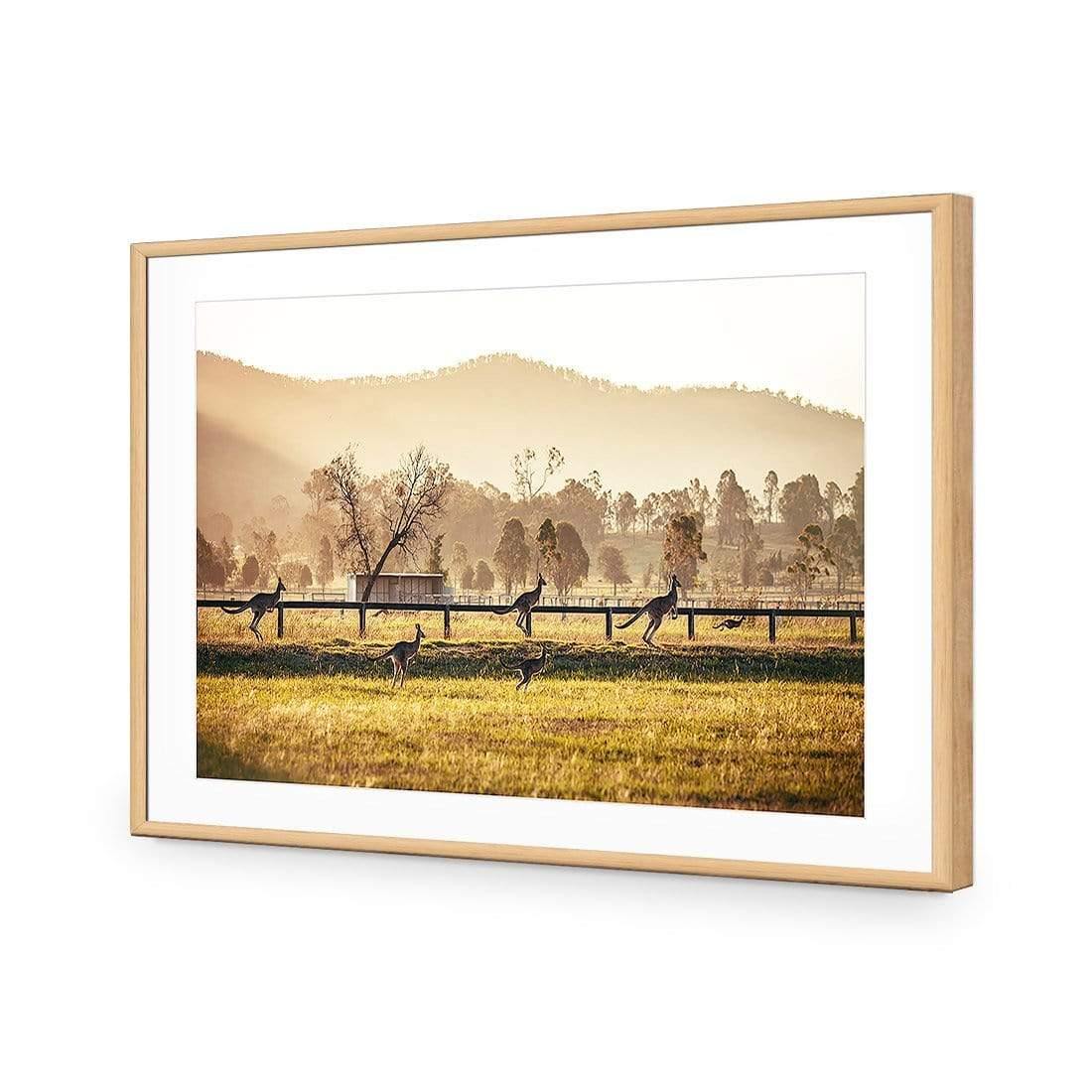 Kangaroo Run - Wall Art Designs - 3105_AR_H WAD_AP - 030 - MAT_45x30_S - 2538 - OAK