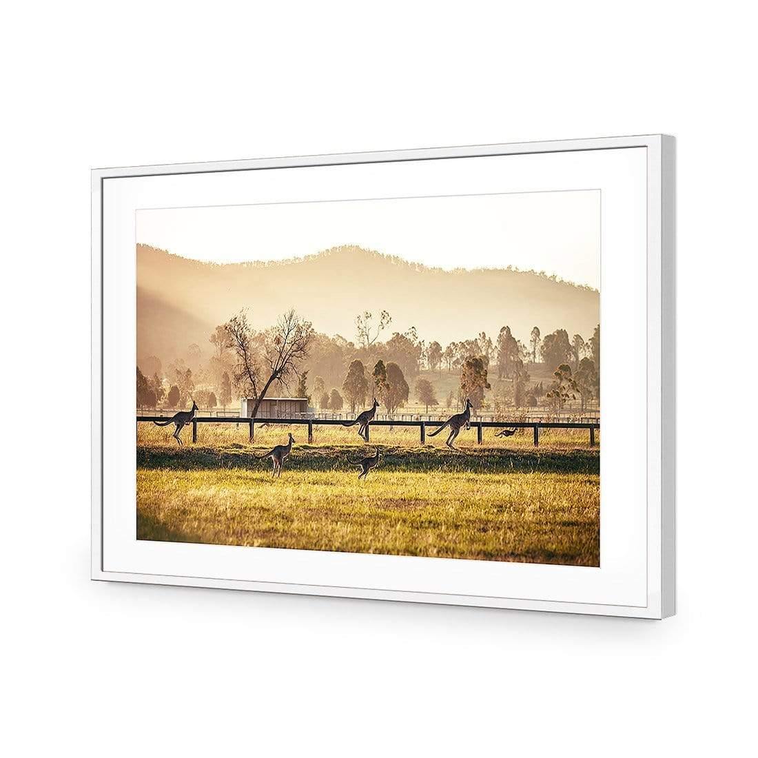 Kangaroo Run - Wall Art Designs - 3105_AR_H WAD_AP - 030 - MAT_45x30_S - 2538 - WHT