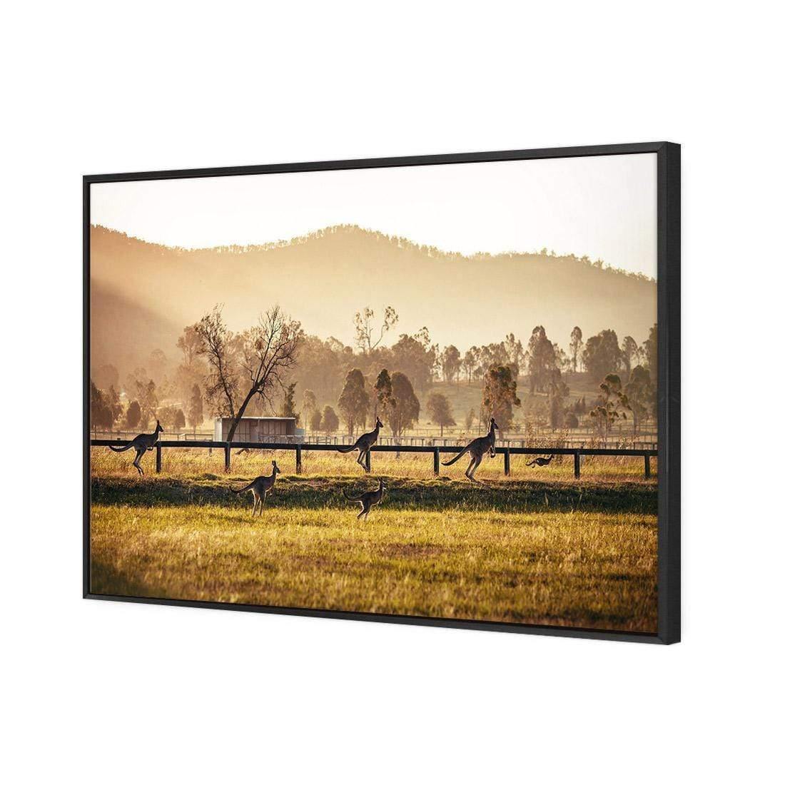 Kangaroo Run - Wall Art Designs - 3105_AR_H WAD_CP - MPY - 260 - M - S - S_45x30_S - 1550 - BLK