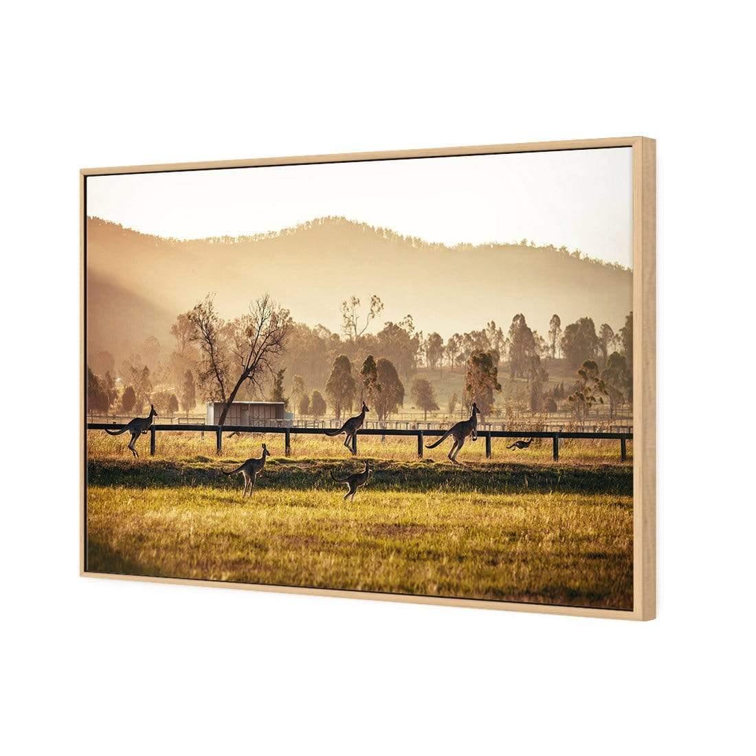 Kangaroo Run - Wall Art Designs - 3105_AR_H WAD_CP - MPY - 260 - M - S - S_45x30_S - 1550 - OAK