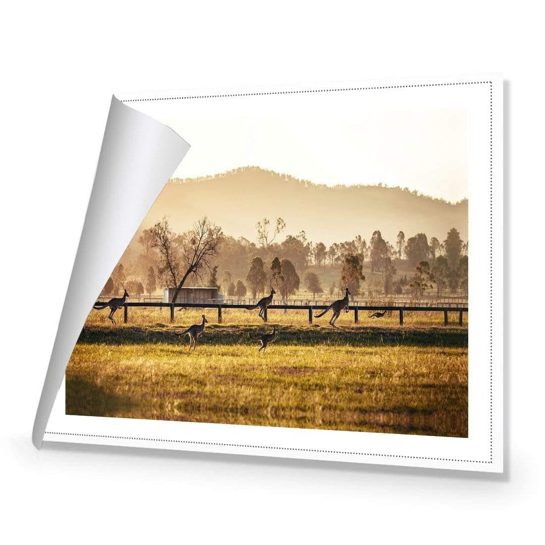 Kangaroo Run - Wall Art Designs - 3105_AR_H WAD_CP - MPY - 260 - M - R_45x30_NONE