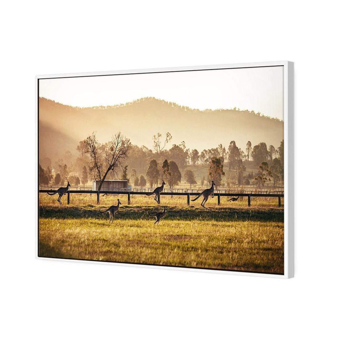 Kangaroo Run - Wall Art Designs - 3105_AR_H WAD_CP - MPY - 260 - M - S - S_45x30_S - 1550 - WHT