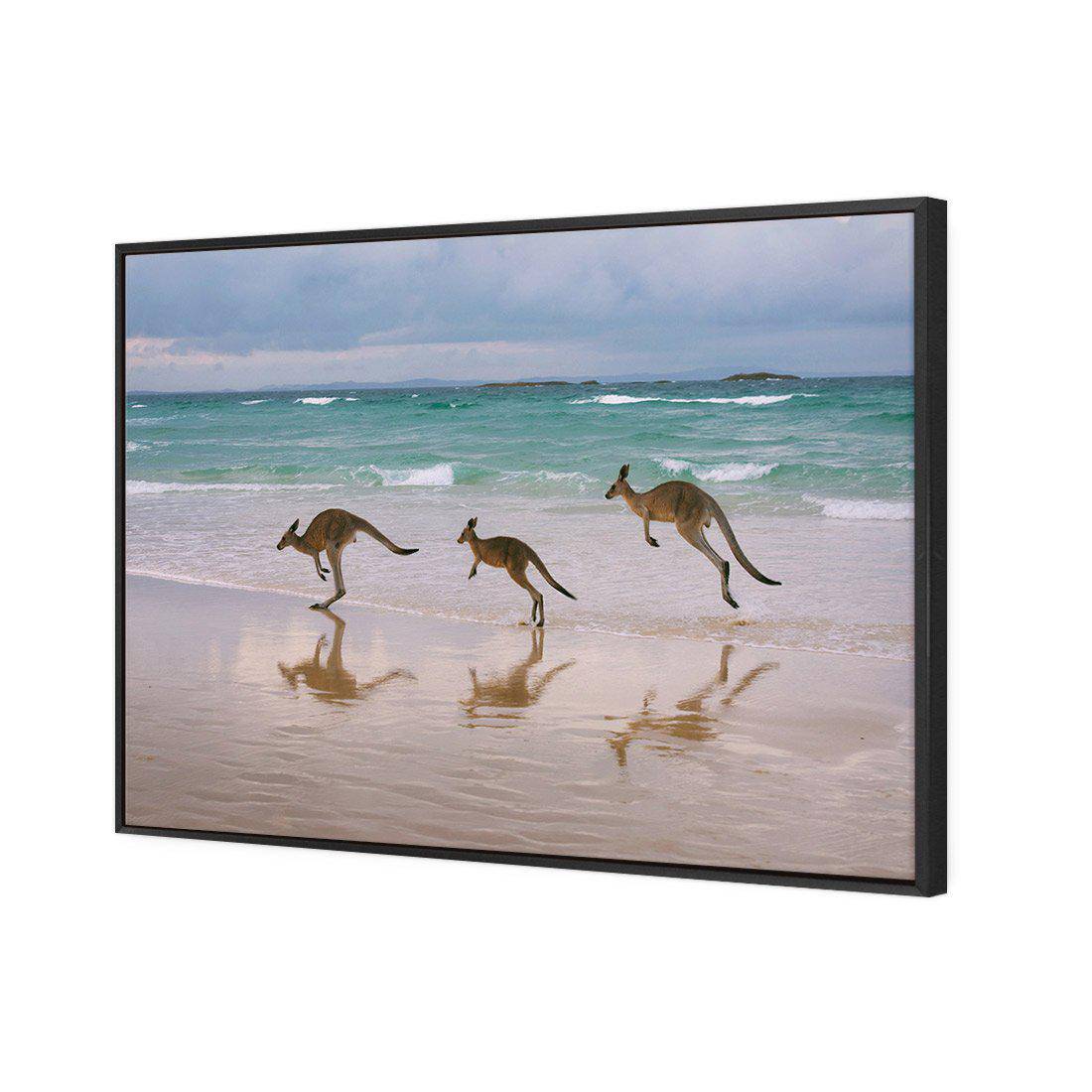 Kangaroos on Vacation | Classic Canvas | Floating Frame | Black