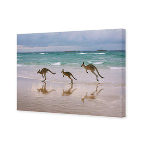 Kangaroos on Vacation | Classic Canvas | No Frame | Stretched Canvas