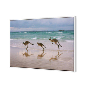 Kangaroos on Vacation | Classic Canvas | Floating Frame | White
