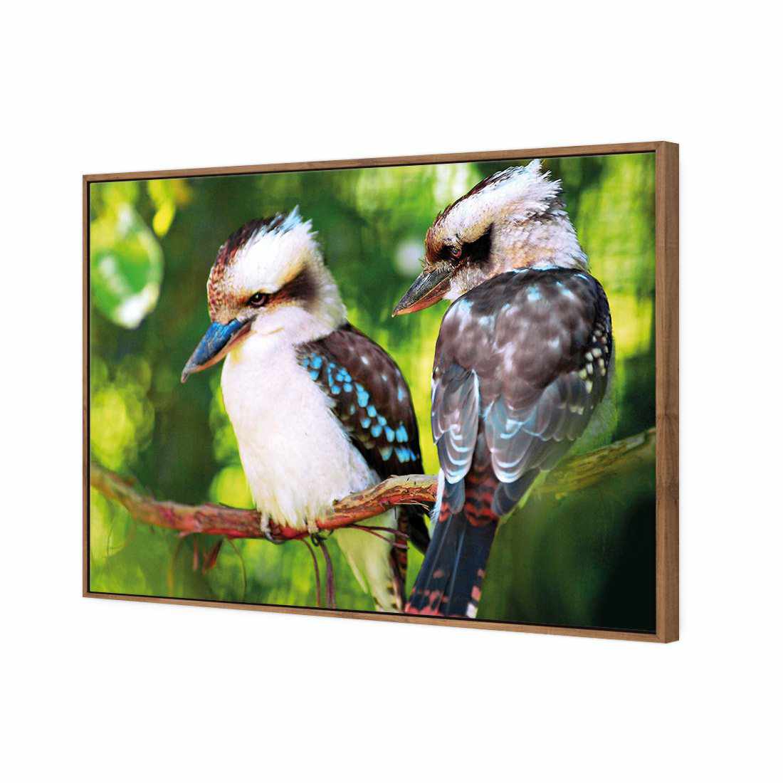 Kookaburra Pair | Standard Canvas | Floating Frame | Natural