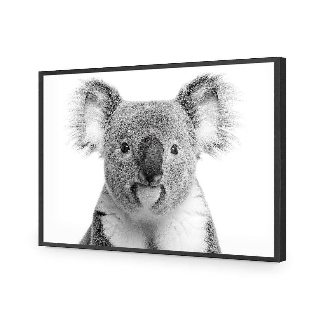 Korro Koala - Wall Art Designs - AU_1030_AR_H WAD_AP - 030 - EDG_45x30_S - 2538 - BLK