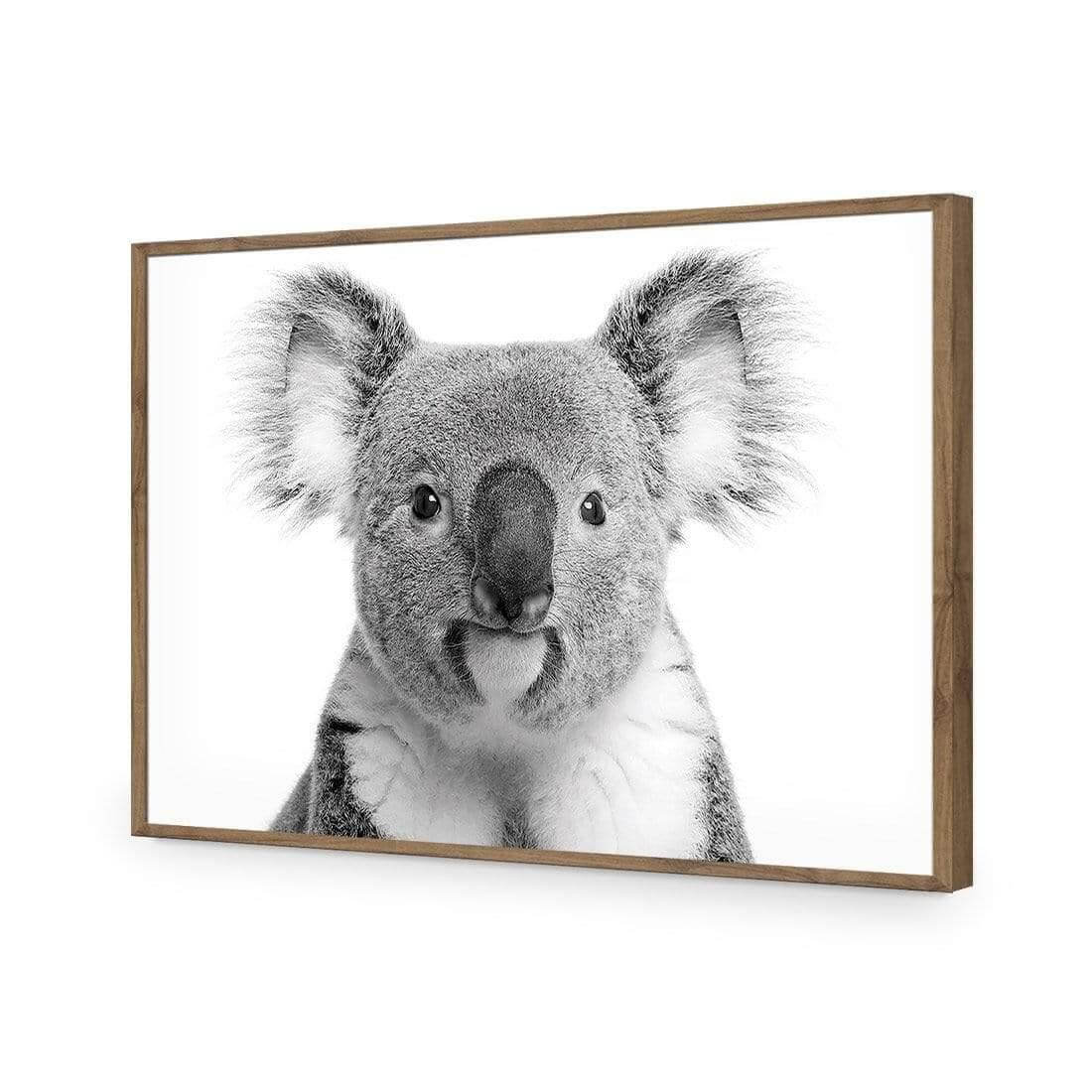 Korro Koala - Wall Art Designs - AU_1030_AR_H WAD_AP - 030 - EDG_45x30_S - 2538 - NAT