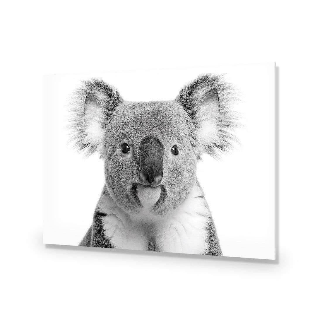 Korro Koala - Wall Art Designs - AU_1030_AR_H WAD_AP - 030 - EDG_45x30_NONE