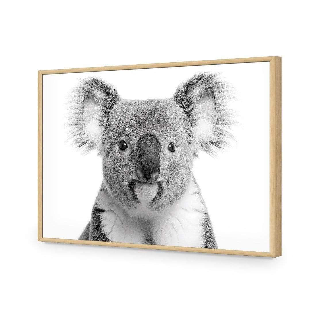 Korro Koala - Wall Art Designs - AU_1030_AR_H WAD_AP - 030 - EDG_45x30_S - 2538 - OAK