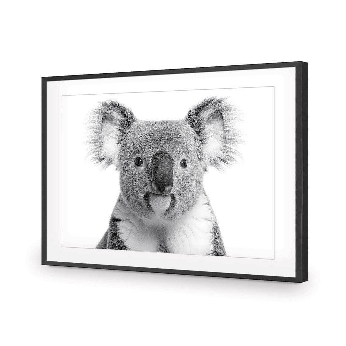 Korro Koala - Wall Art Designs - AU_1030_AR_H WAD_AP - 030 - MAT_45x30_S - 2538 - BLK