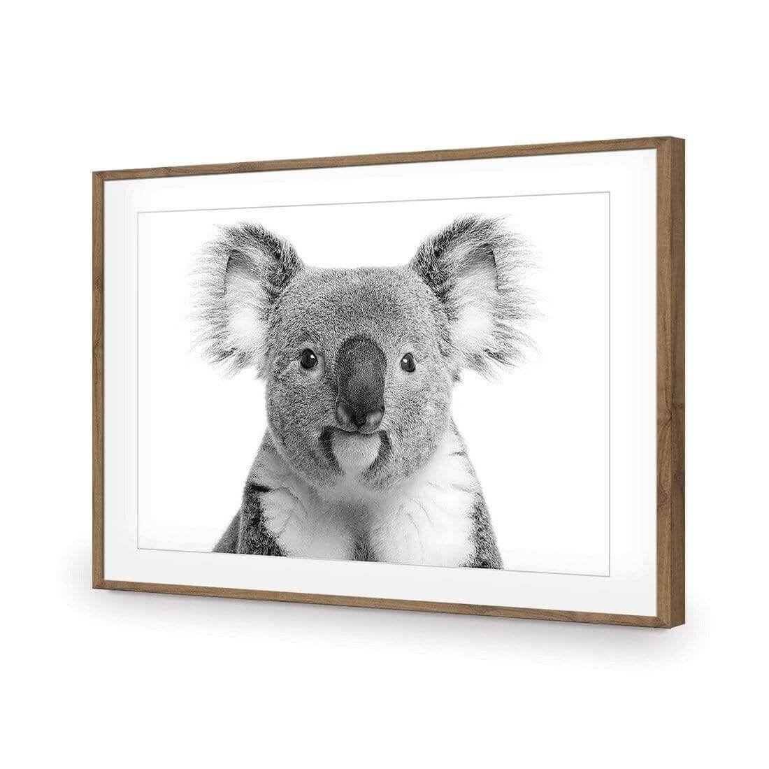 Korro Koala - Wall Art Designs - AU_1030_AR_H WAD_AP - 030 - MAT_45x30_S - 2538 - NAT