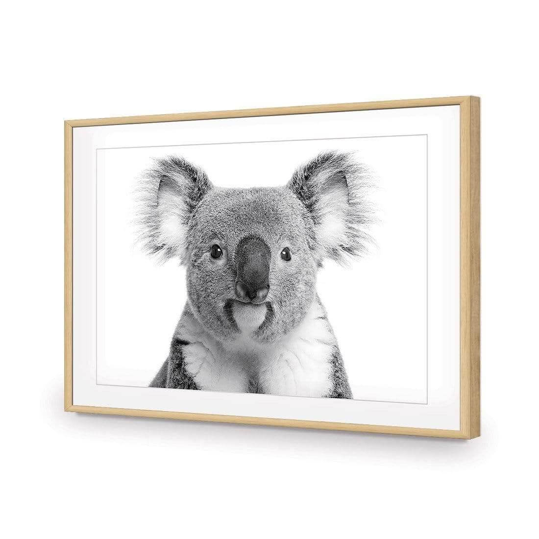 Korro Koala - Wall Art Designs - AU_1030_AR_H WAD_AP - 030 - MAT_45x30_S - 2538 - OAK