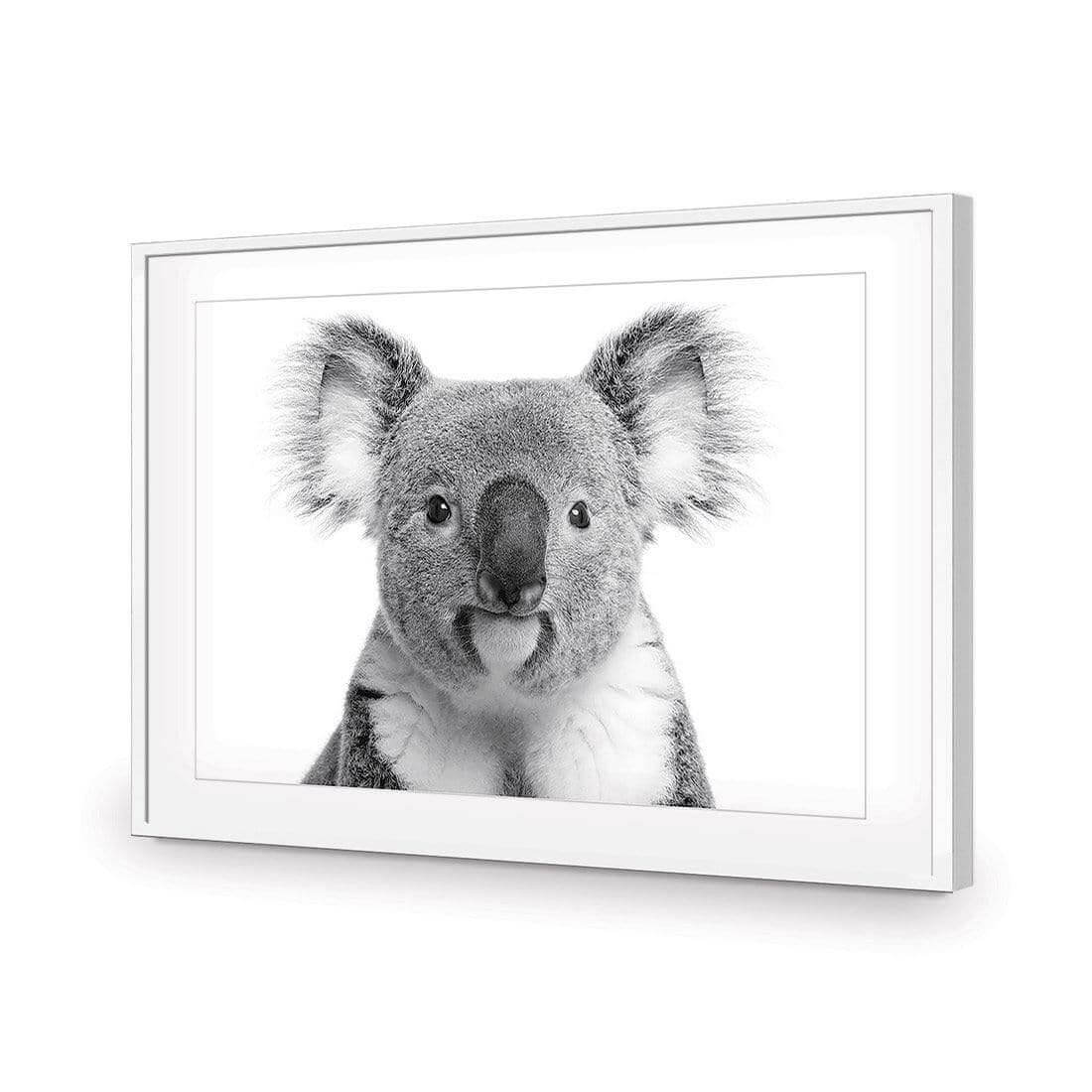 Korro Koala - Wall Art Designs - AU_1030_AR_H WAD_AP - 030 - MAT_45x30_S - 2538 - WHT