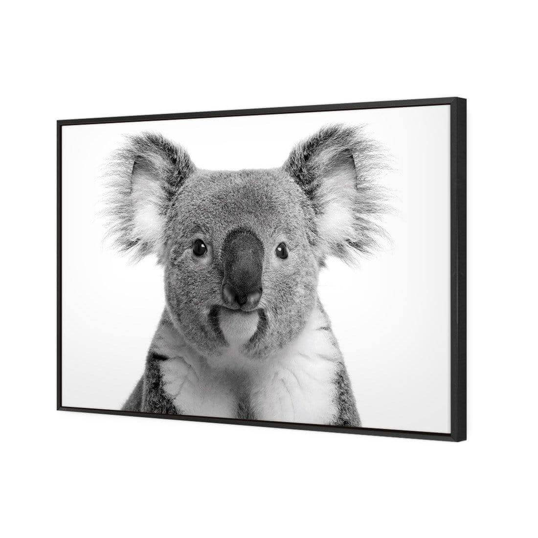 Korro Koala - Wall Art Designs - AU_1030_AR_H WAD_CP - MPY - 260 - M - S - S_45x30_S - 1550 - BLK