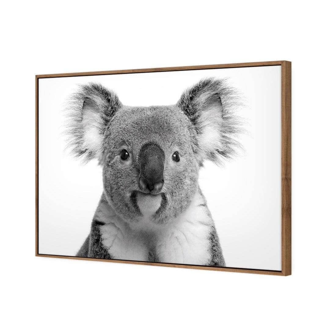 Korro Koala - Wall Art Designs - AU_1030_AR_H WAD_CP - MPY - 260 - M - S - S_45x30_S - 1550 - NAT