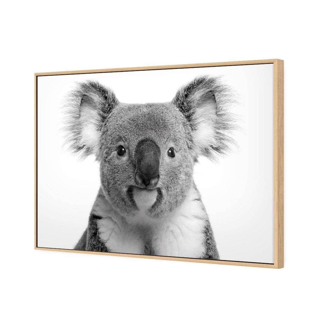 Korro Koala - Wall Art Designs - AU_1030_AR_H WAD_CP - MPY - 260 - M - S - S_45x30_S - 1550 - OAK