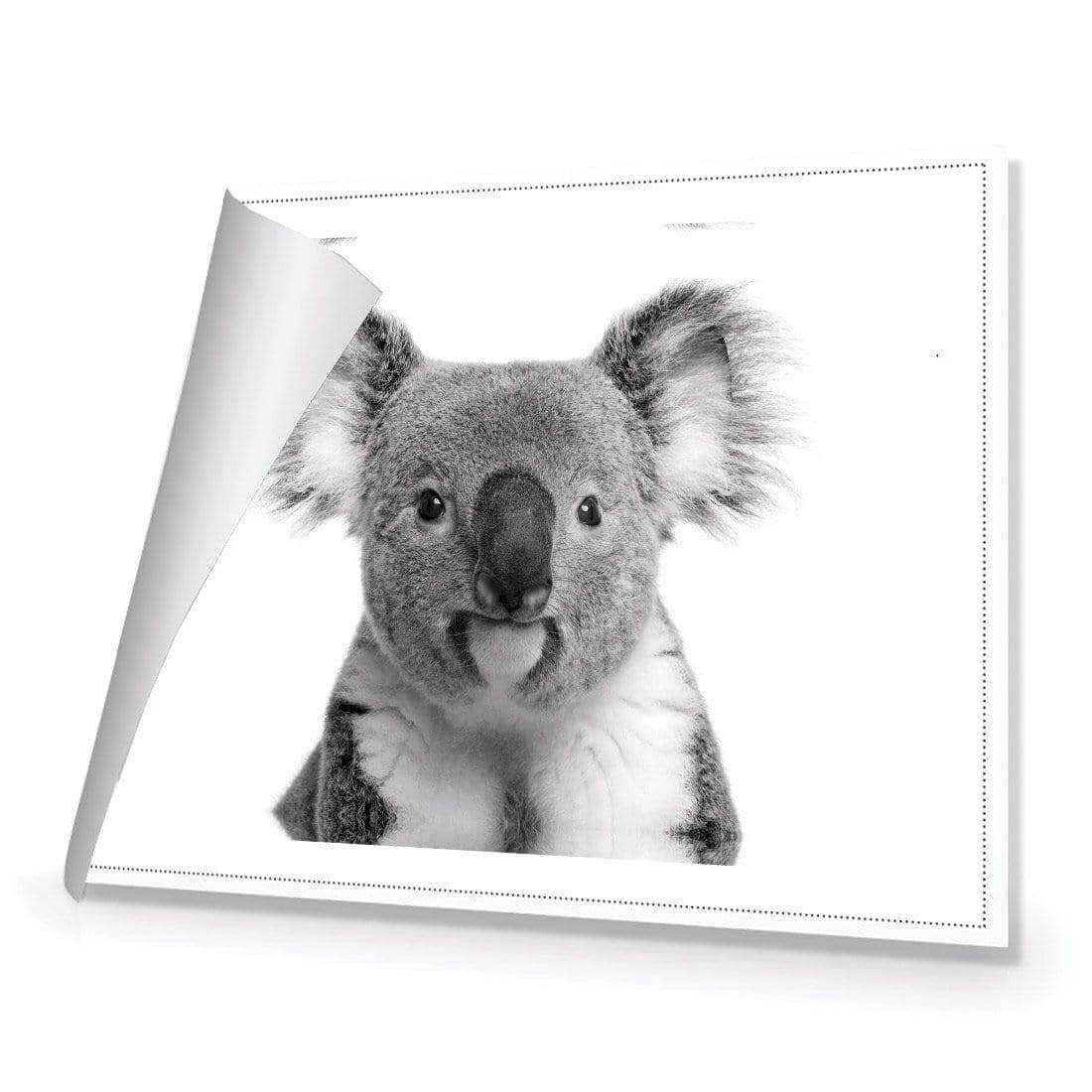 Korro Koala - Wall Art Designs - AU_1030_AR_H WAD_CP - MPY - 260 - M - R_45x30_NONE