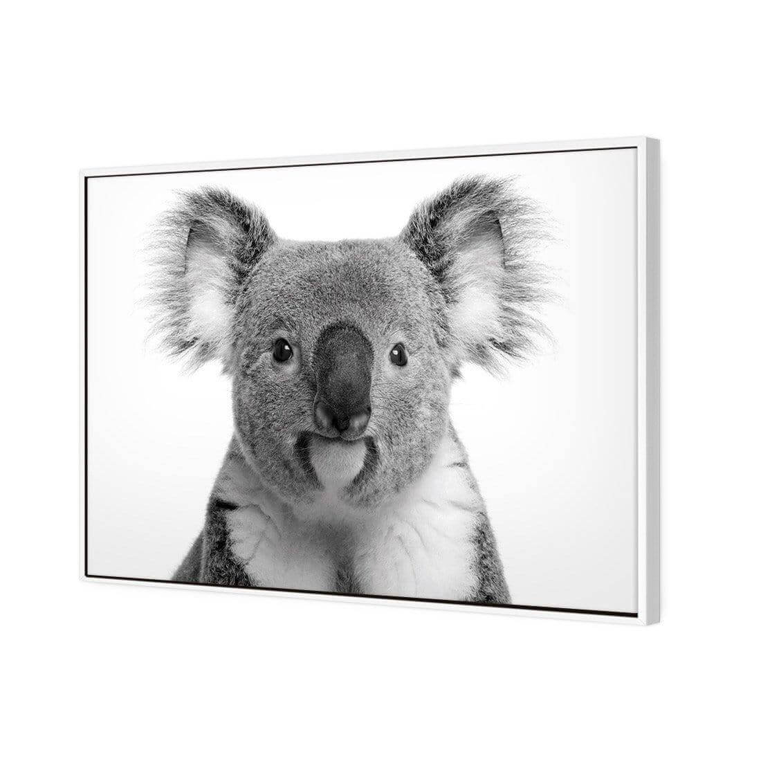 Korro Koala - Wall Art Designs - AU_1030_AR_H WAD_CP - MPY - 260 - M - S - S_45x30_S - 1550 - WHT