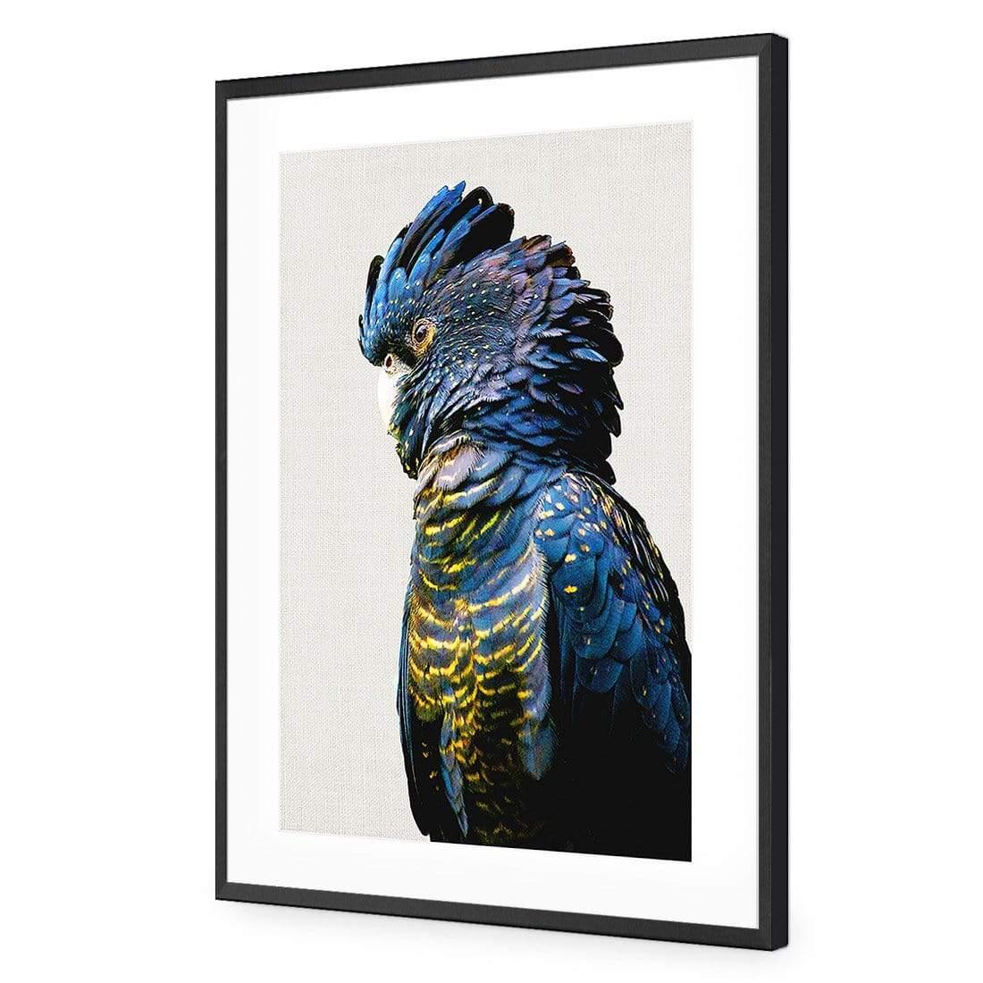 Lady Black Cocky - Wall Art Designs - AU_1043_AR_V WAD_AP - 030 - MAT_45x30_S - 2538 - BLK