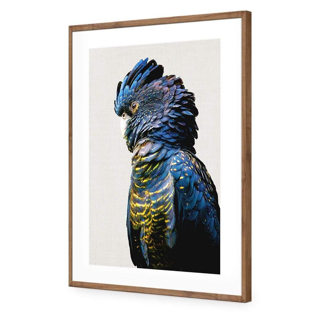 Lady Black Cocky - Wall Art Designs - AU_1043_AR_V WAD_AP - 030 - MAT_45x30_S - 2538 - NAT