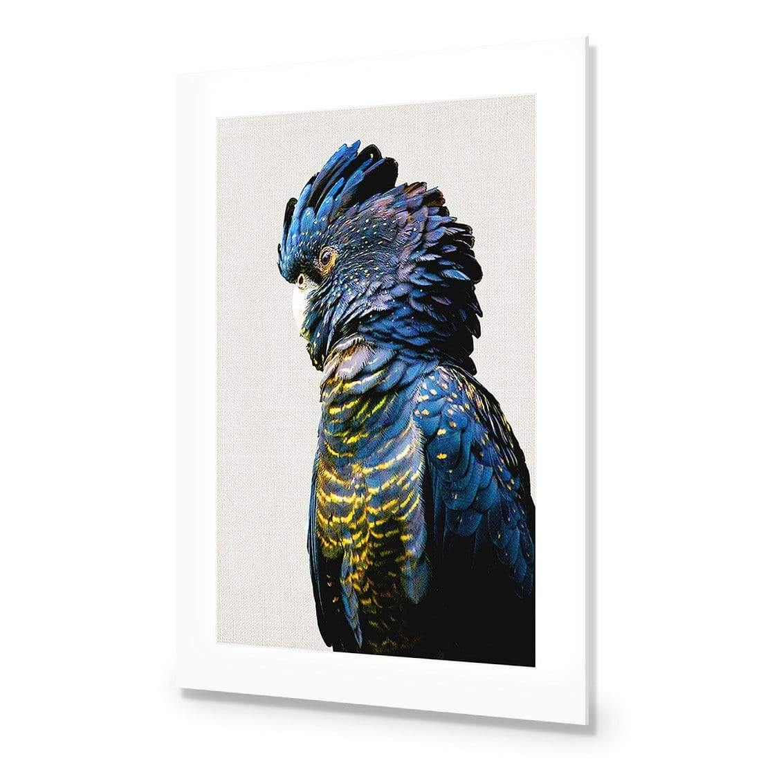 Lady Black Cocky - Wall Art Designs - AU_1043_AR_V WAD_AP - 030 - MAT_45x30_NONE