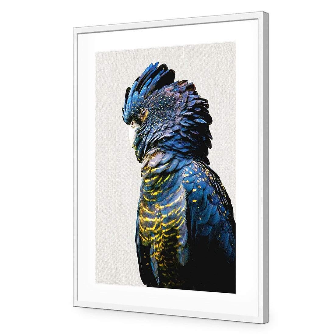 Lady Black Cocky - Wall Art Designs - AU_1043_AR_V WAD_AP - 030 - MAT_45x30_S - 2538 - WHT