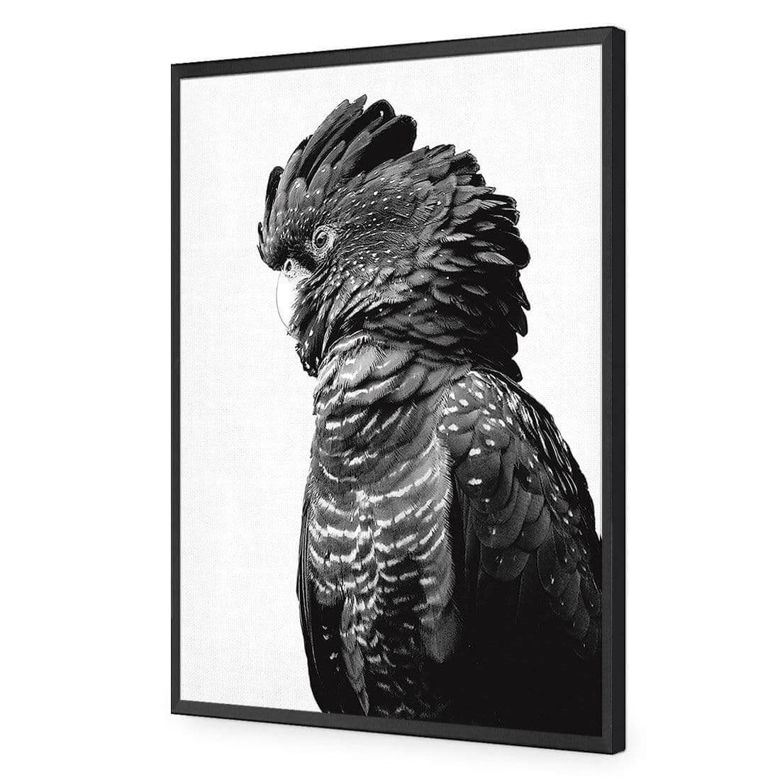 Lady Black Cocky, Black & White - Wall Art Designs - AU_1043_BR_V WAD_AP - 030 - EDG_45x30_S - 2538 - BLK