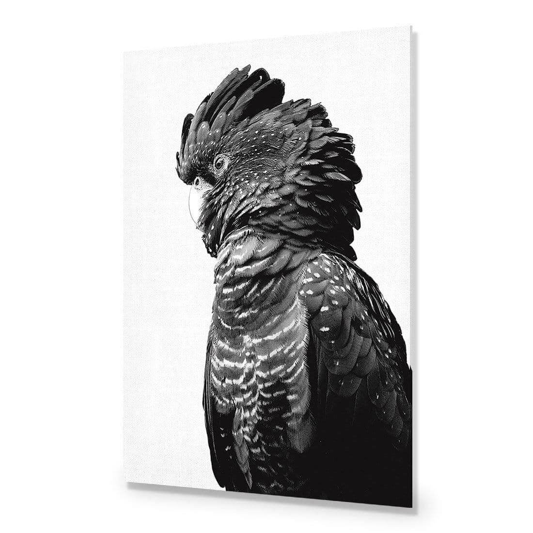 Lady Black Cocky, Black & White - Wall Art Designs - AU_1043_BR_V WAD_AP - 030 - EDG_45x30_NONE