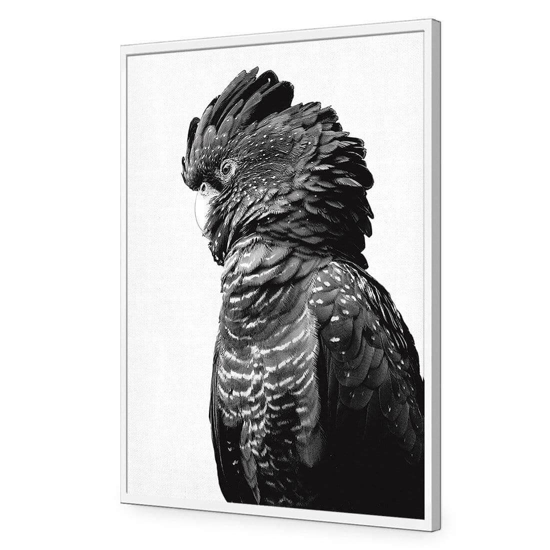 Lady Black Cocky, Black & White - Wall Art Designs - AU_1043_BR_V WAD_AP - 030 - EDG_45x30_S - 2538 - WHT