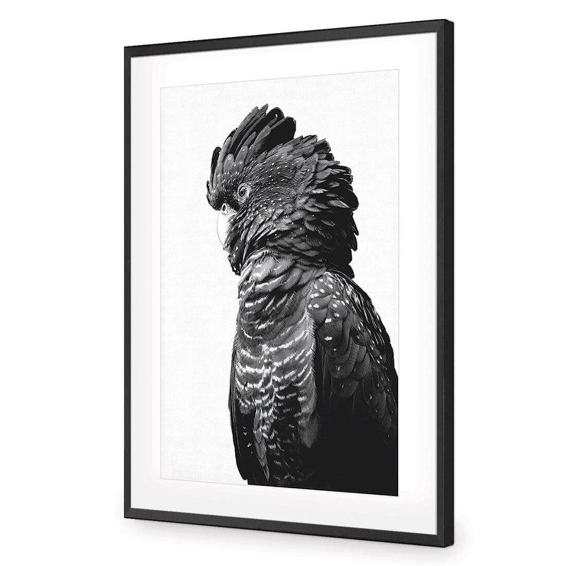 Lady Black Cocky, Black & White - Wall Art Designs - AU_1043_BR_V WAD_AP - 030 - MAT_45x30_S - 2538 - BLK